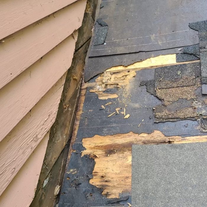storm damage